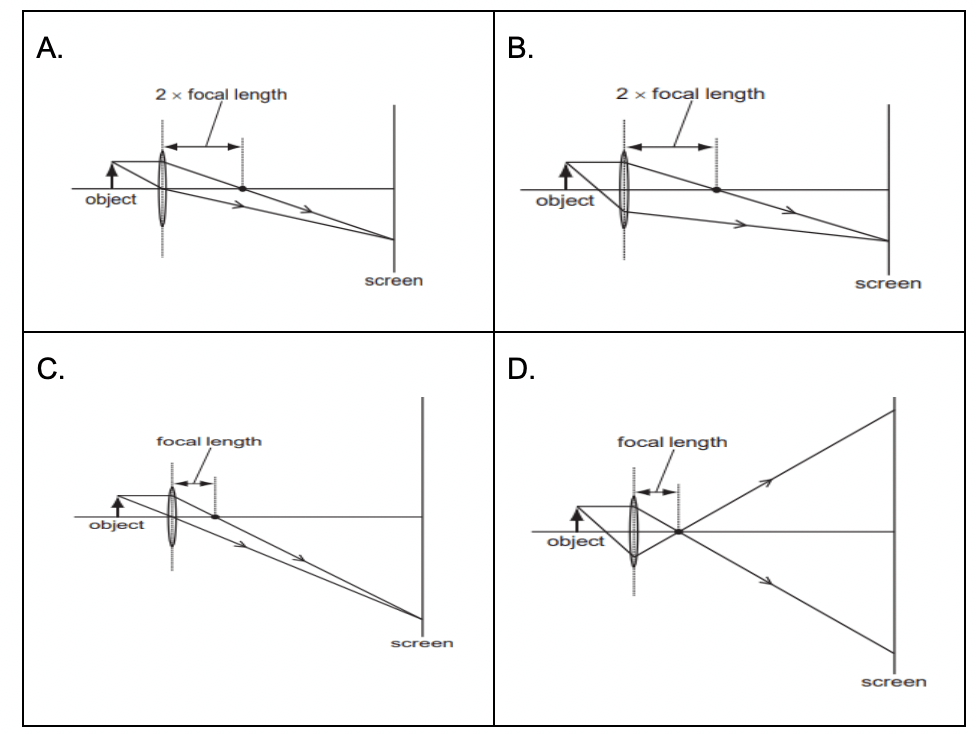 Science Question 22